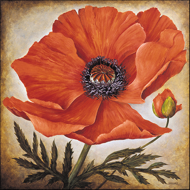 10343gg Poppy I, by Joyce Galley, available in multiple sizes