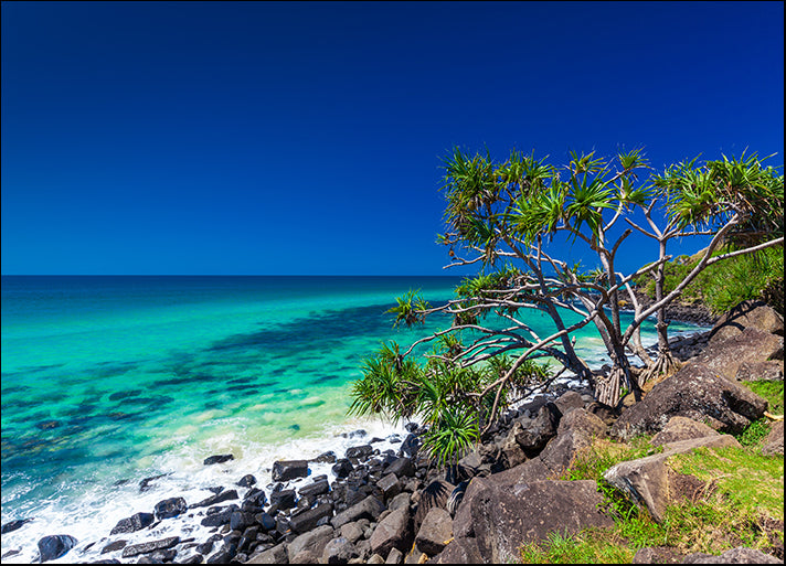 107585798 Beach view Burleigh Heads National Park, Gold Coast, Australia, available in multiple sizes