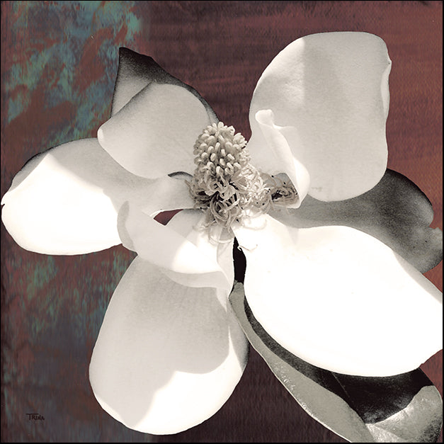 11803gg Magnolia Blue I, by Katrina Craven, available in multiple sizes