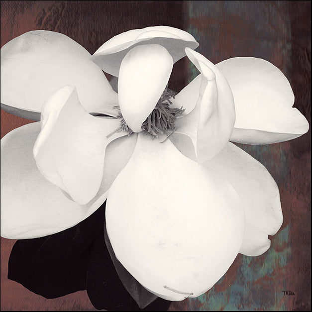 11804gg Magnolia Blue II, by Katrina Craven, available in multiple sizes