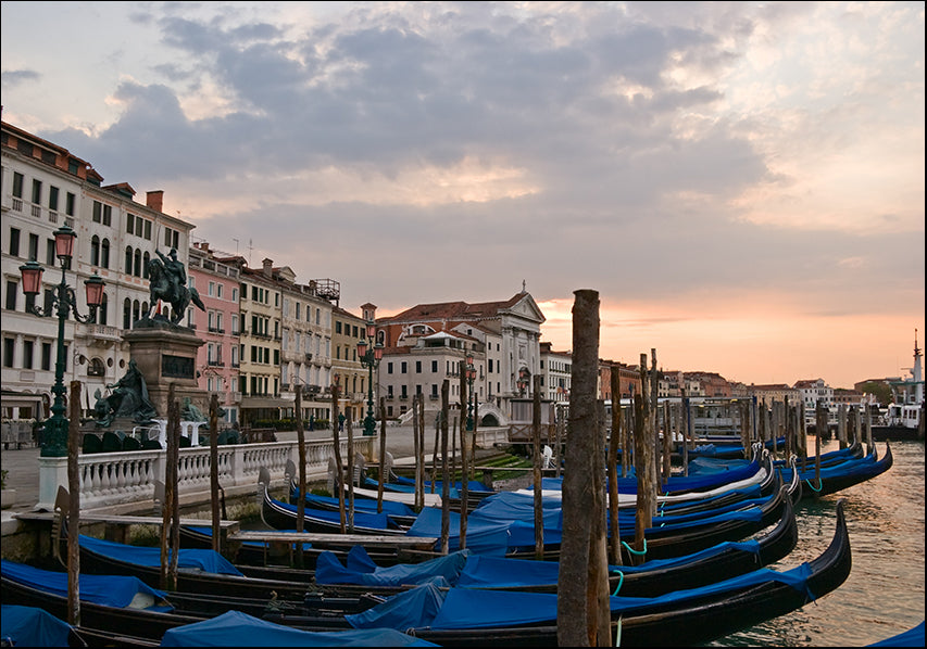 11804701 Venice, available in multiple sizes