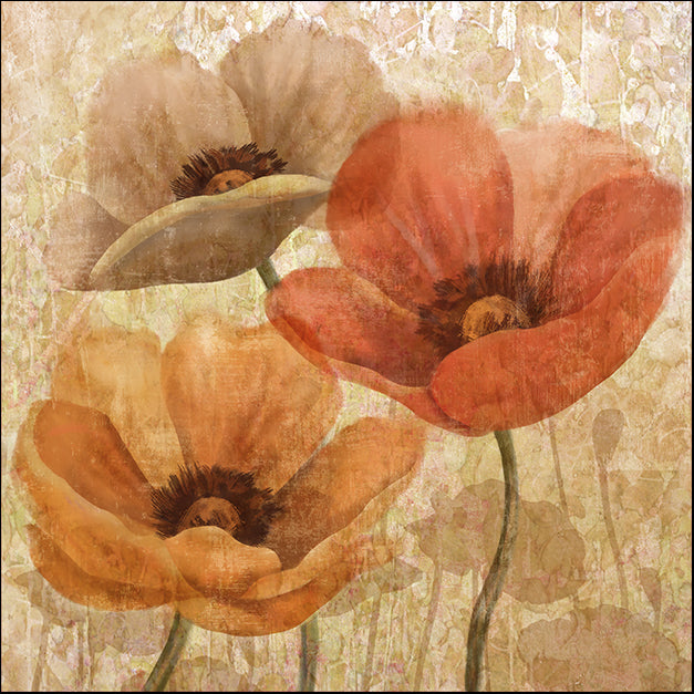 13117gg POPPY ALLURE II, by Conrad Knutsen, available in multiple sizes - Chamton