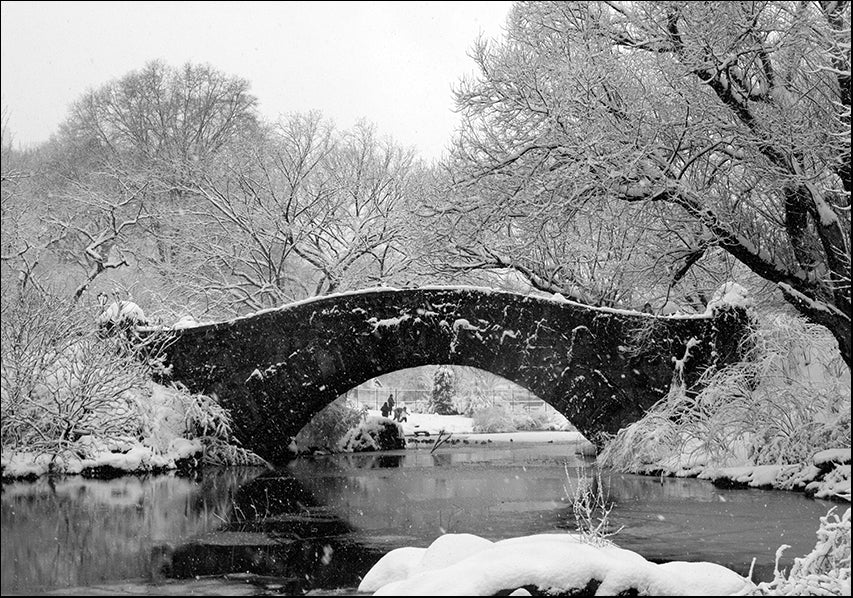 13545738 Central Park New York in the snow, available in multiple sizes