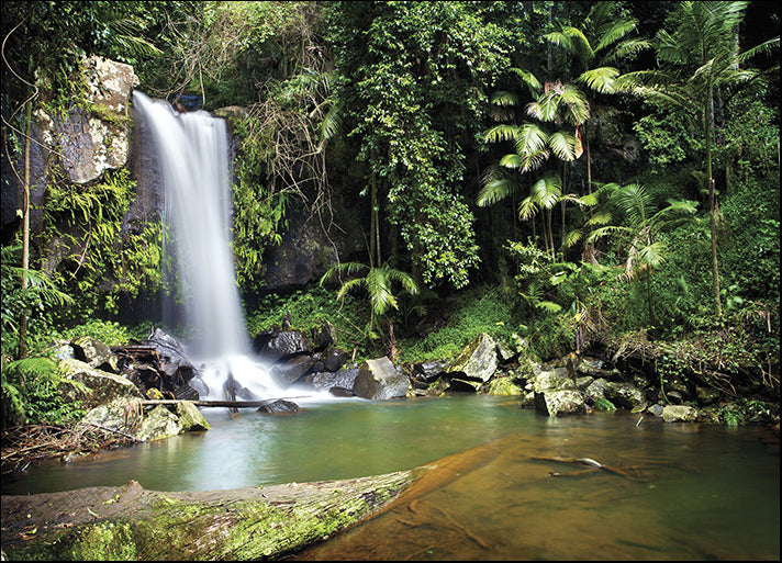 142274015 Curtis Falls, Mount Tamborine, Gold Coast, Queensland, available in multiple sizes
