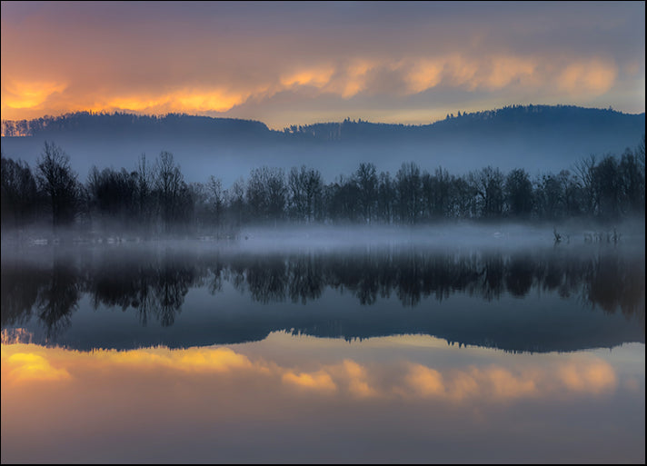 153309758 Reflection of trees from the water Foggy sunrise, available in multiple sizes