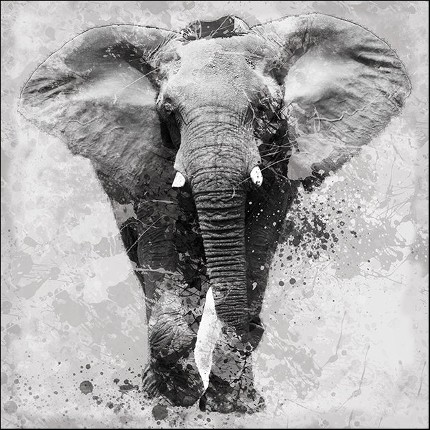 15591gg Proud Elephant, by Carol Robinson, available in multiple sizes