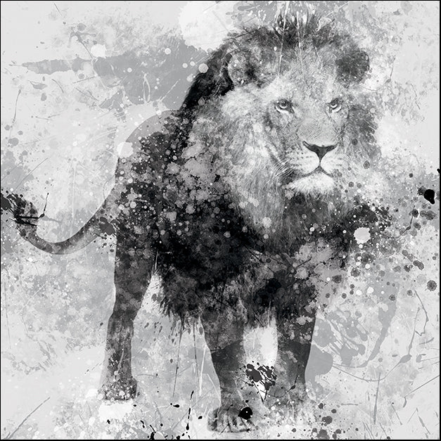 15593gg Lion, by Carol Robinson, available in multiple sizes - Chamton