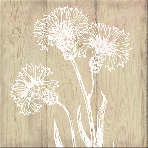 16458gg White Silhouette II, by Nan, available in multiple sizes