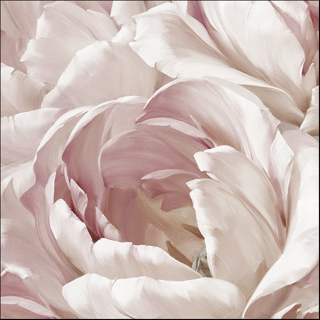 17812gg Intimate Blush II, by Igor Levashov, available in multiple sizes