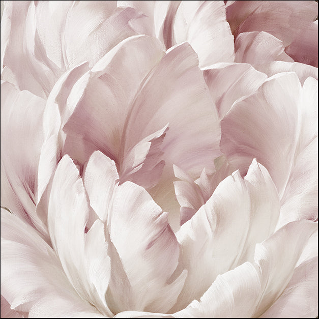 17813gg Intimate Blush III, by Igor Levashov, available in multiple sizes