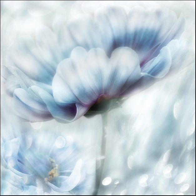 18025gg Feeling of Blue II, by Irene Weisz, available in multiple sizes