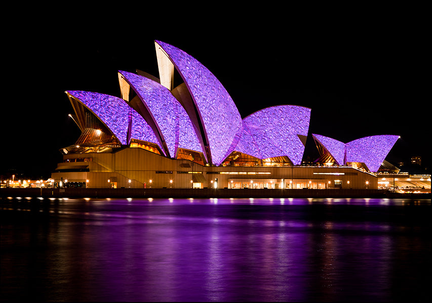 18150433 Sydney Opera House at Night, available in multiple sizes