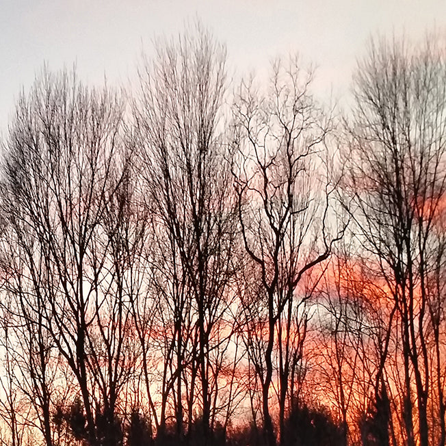 37631 MA Against the Sunset I , available in multiple sizes - Chamton