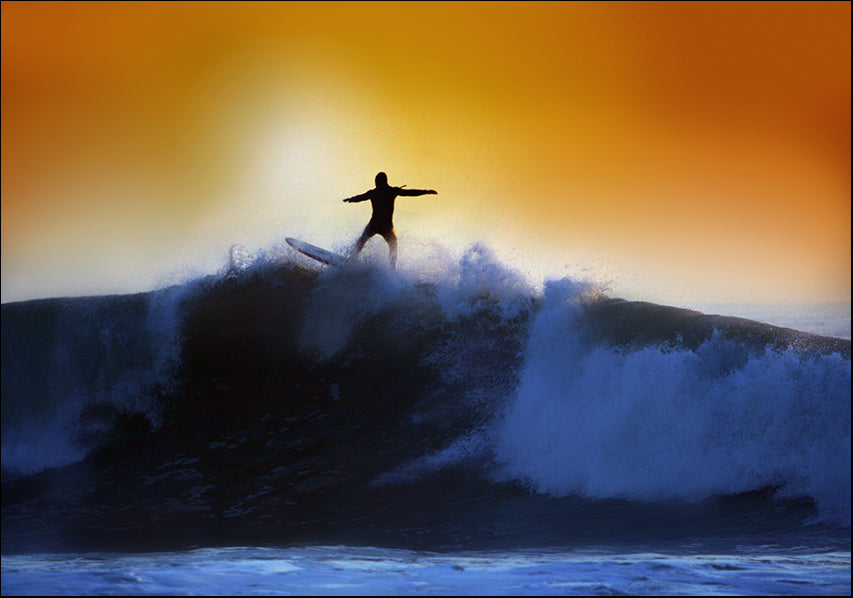 3794108 Surfin, available in multiple sizes - Chamton
