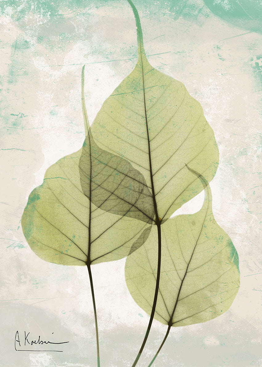 39631 MA Aged Stone Bo Tree, available in multiple sizes