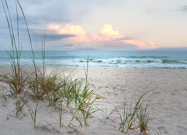 40454gg Beach Driftwood, by Nan, available in multiple sizes