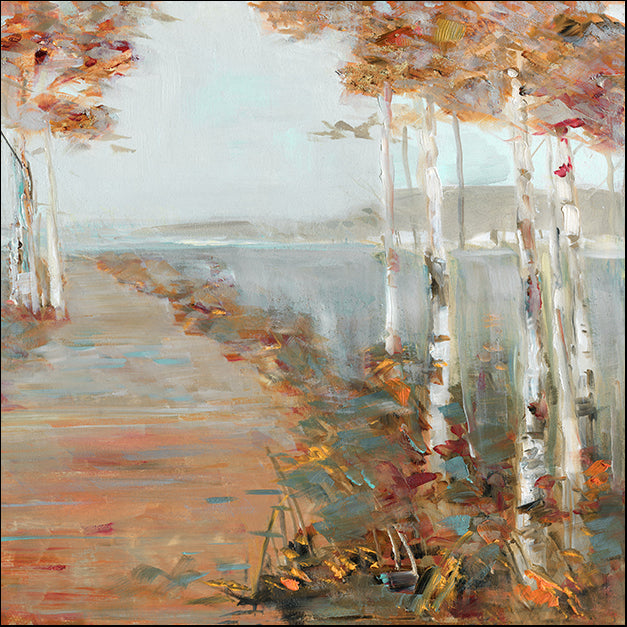 40576gg Birch Walk II, by Sally Swatland, available in multiple sizes