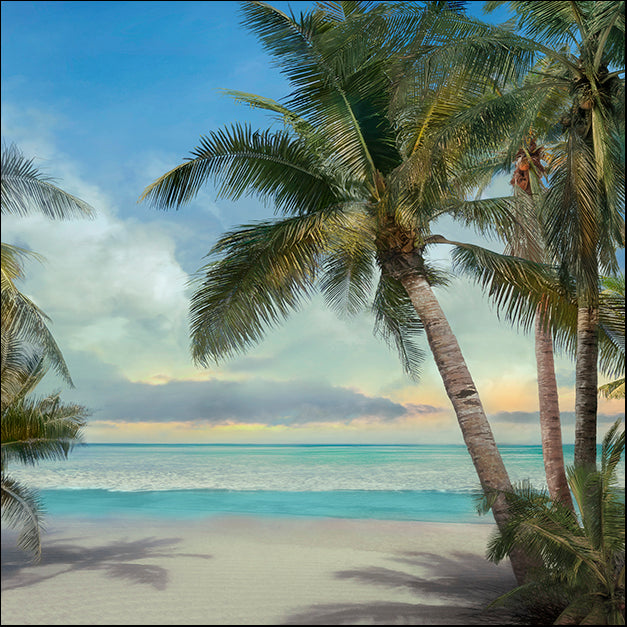 40597gg A Found Paradise II, by Mike Calascibetta, available in multiple sizes