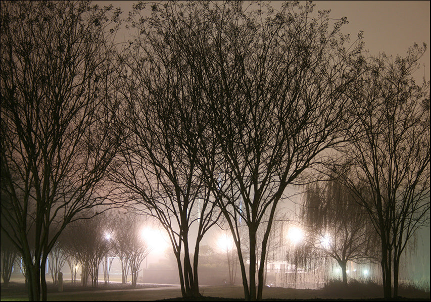 4128324 Trees alight, available in multiple sizes - Chamton