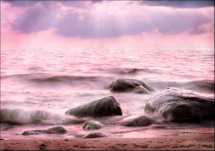 49184 Pink Sea, available in multiple sizes