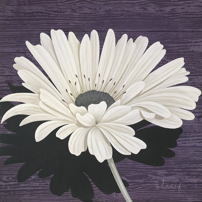 49291 MA Marguerite I, available in multiple sizes