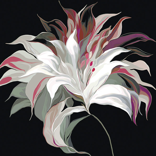 62156 MA Lily XXI, available in multiple sizes - Chamton
