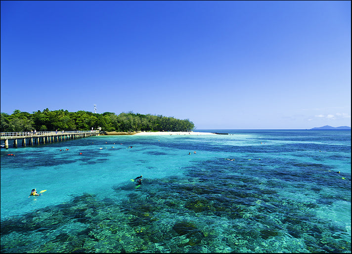 75599944 Great Barrier Reef, Queensland, available in multiple sizes - Chamton