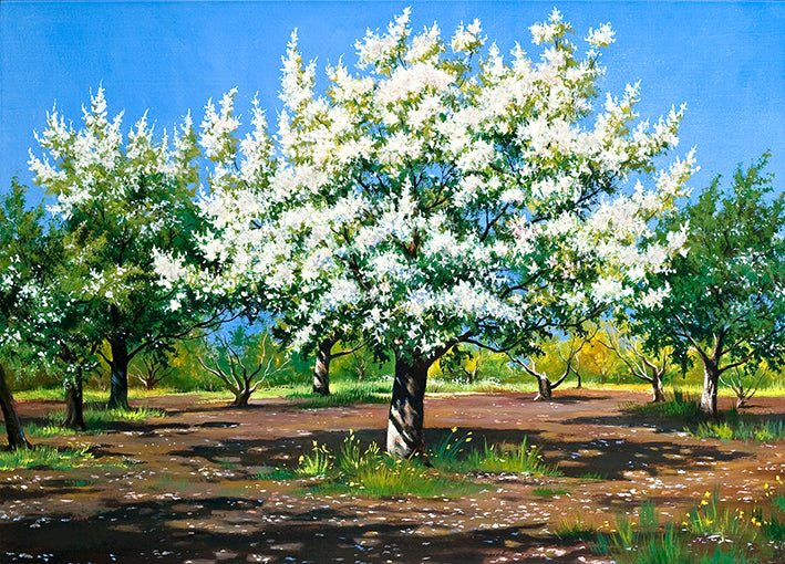 8824235 Orchard, available in multiple sizes