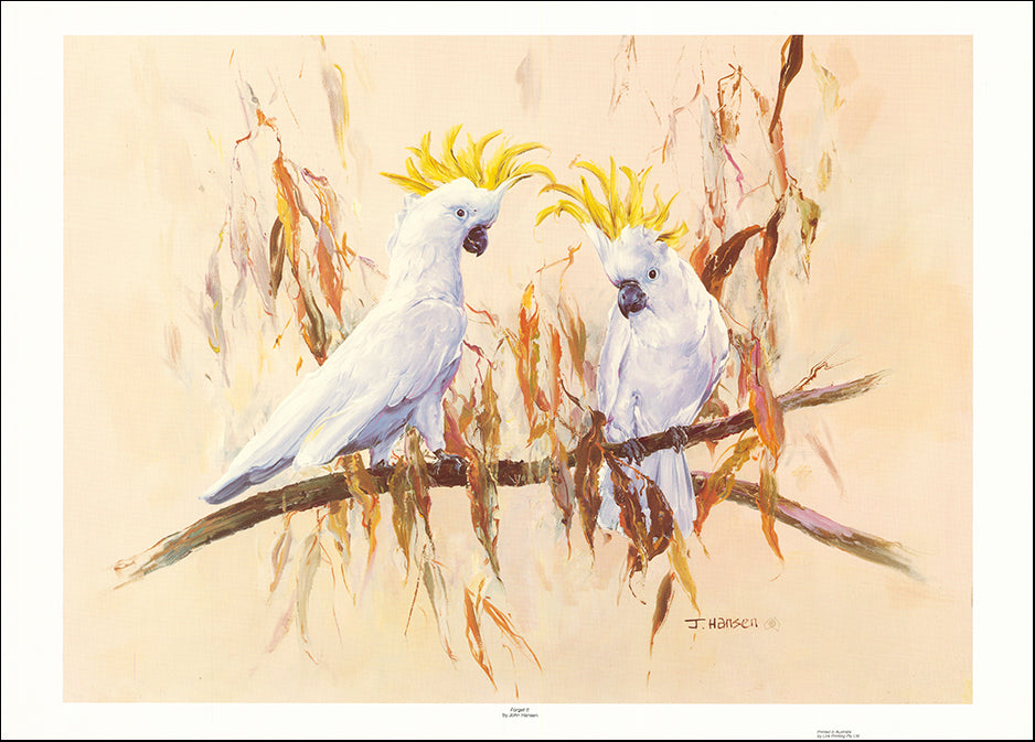 AAC JHO128 Forget it by John Hansen multiple sizes on paper