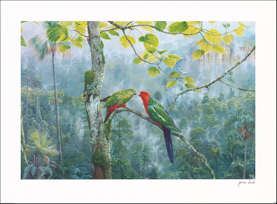 AAC JL001 Wildlife 1 by James Luck multiple sizes on paper