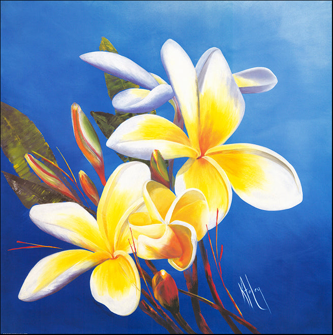 AAC KF001 Spring by Karen Foley 68x68cm on paper