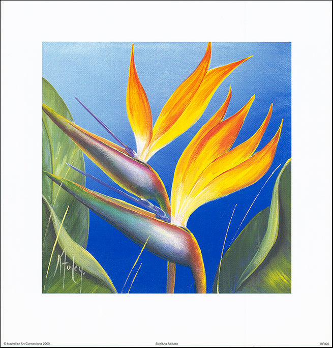 AAC KF026 Strelizia Attitude by Karen Foley 35x35cm on paper - Chamton