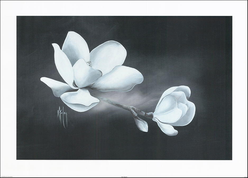 AAC KF073 Steel Magnolia by Karen Foley 91x65cm on paper