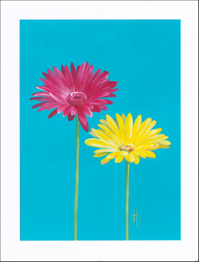 AAC KF075 Duo by Karen Foley 49x65cm on paper
