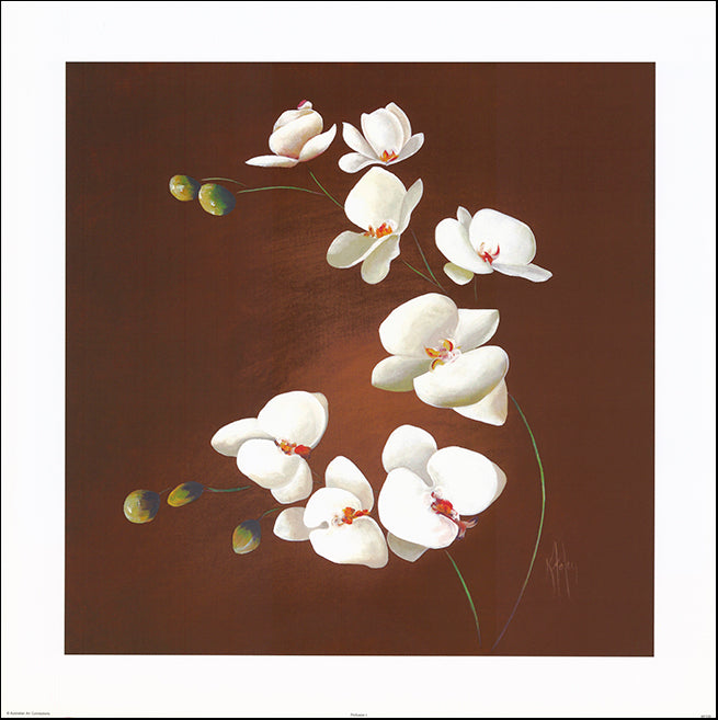 AAC KF103 Profusion 1 by Karen Foley multiple sizes on paper