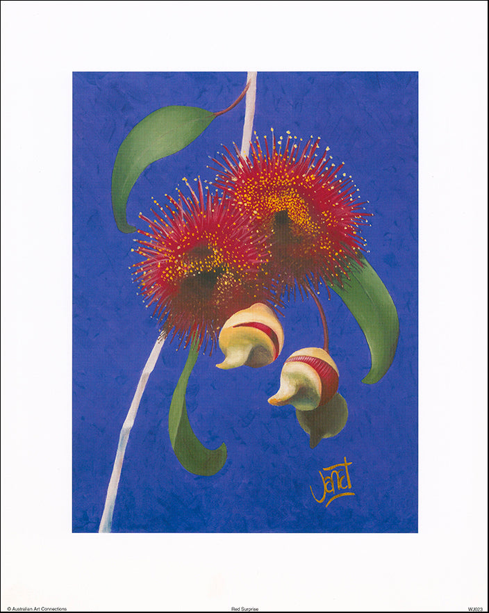 AAC WJ023 Red Surprise by Janet Wilson 34x42cm on paper