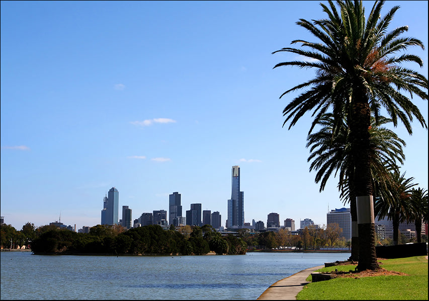 AADT82173350 Melbourne from Albert Park Lake, available in multiple sizes - Chamton