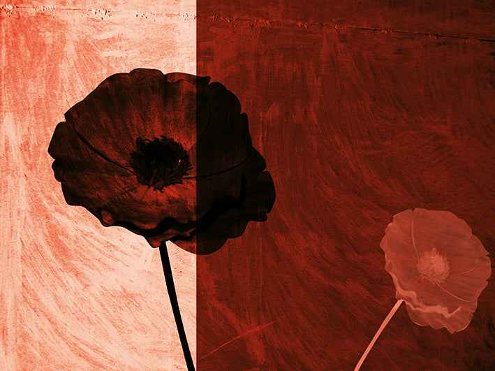 AADT8496477 Poppies in the breeze available in multiple sizes