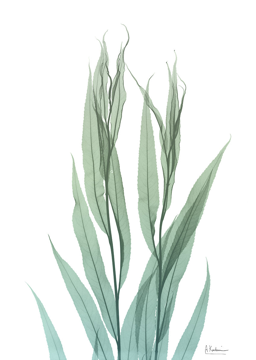 AK8-RC-006B Radiant Bamboo Leaf II, available in multiple sizes - Chamton
