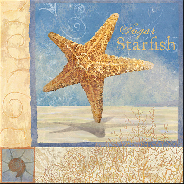 ALIZOE110201 Ocean Beauties IV, by Art Licensing Studio, available in multiple sizes