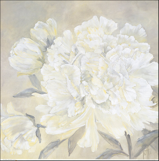 AL AP173 Paeonia 1 by Jettie Roseboom 70x70cm on paper
