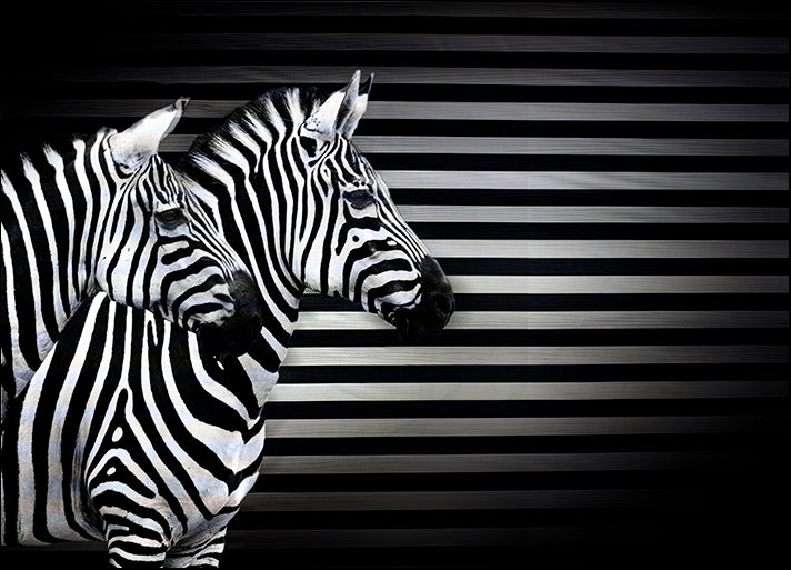 ANDVIL127314 Black White And Zebras, by Andre Villeneuve, available in multiple sizes - Chamton