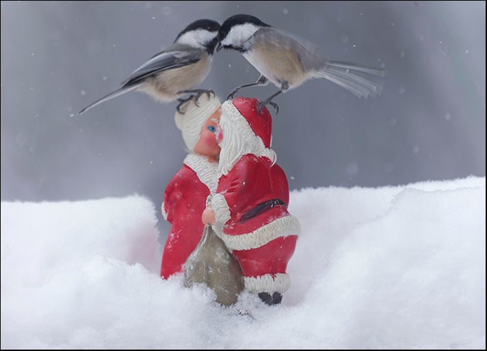 ANDVIL127318 Chickadee See Chickadee Do, by Andre Villeneuve, available in multiple sizes