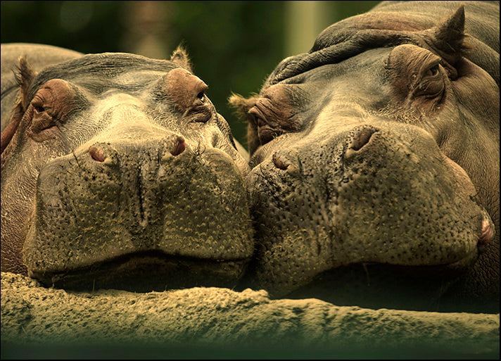 ANDVIL127332 Lovely Affair, by Andre Villeneuve, available in multiple sizes