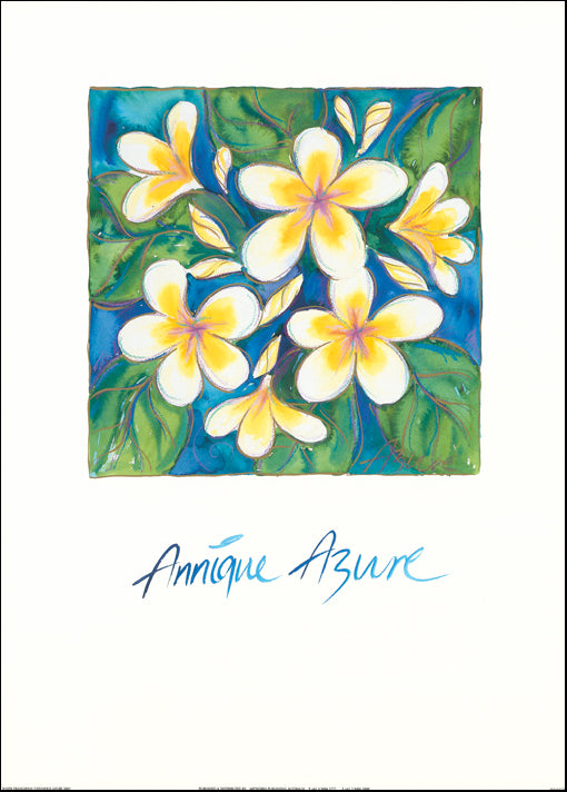 AW AA700 White Frangipani by Annique Azure 50x70cm paper - Chamton