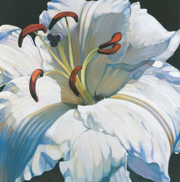 AW FF767 Frances Fussell 70x70cm on paper, November Lillies 1 - Chamton