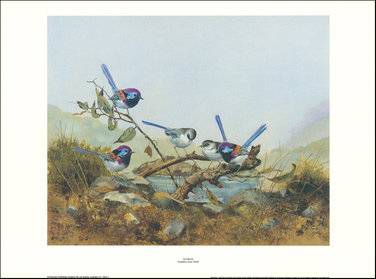 AW JS417 Joephine Smith 68x50cm on paper, Springtime