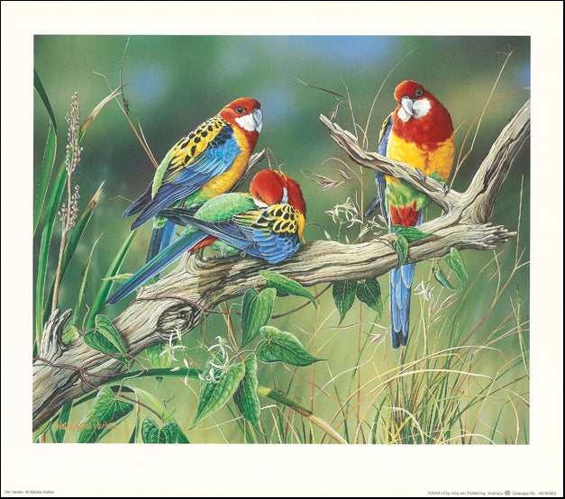 AW NP603 Natalie Parker 40x35cm on paper, Tree Dwellers