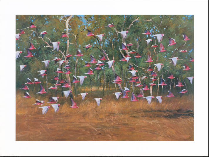 AW PE759 Paul Evans 80x60cm on paper, Startled into Flight