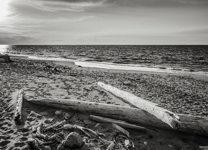 98171 Driftwood, by Bisig, available in multiple sizes